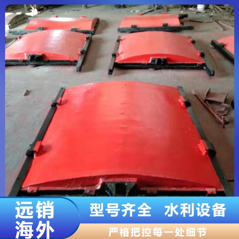郑州污水处理镶铜铸铁闸门选材优质