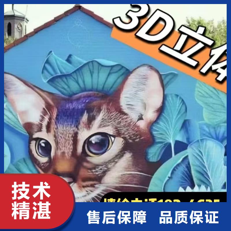 泰州墙绘手绘3D彩绘户外墙画正规团队