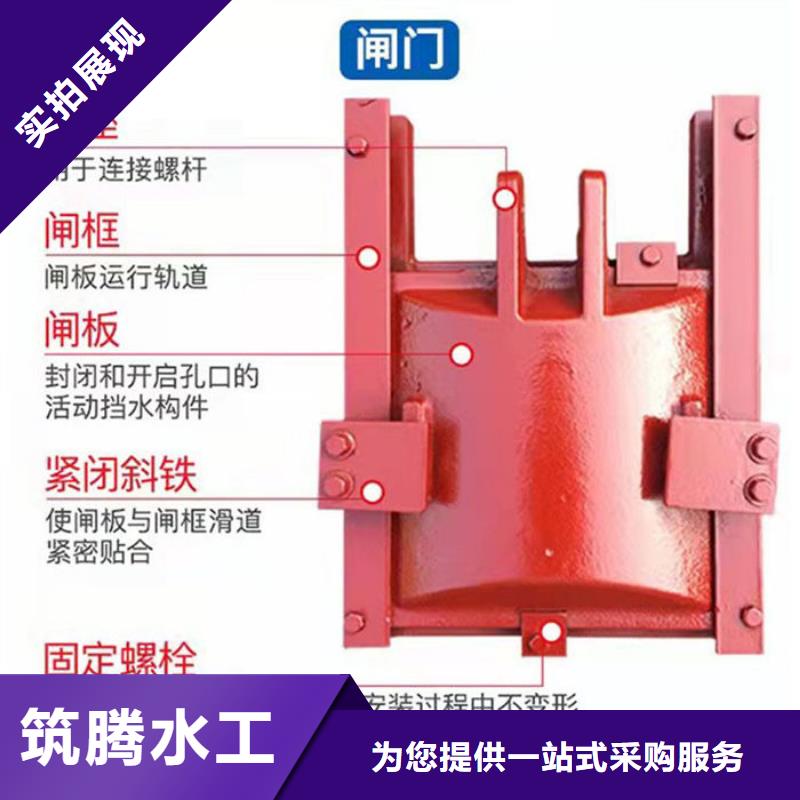 机门一体闸门型号齐全