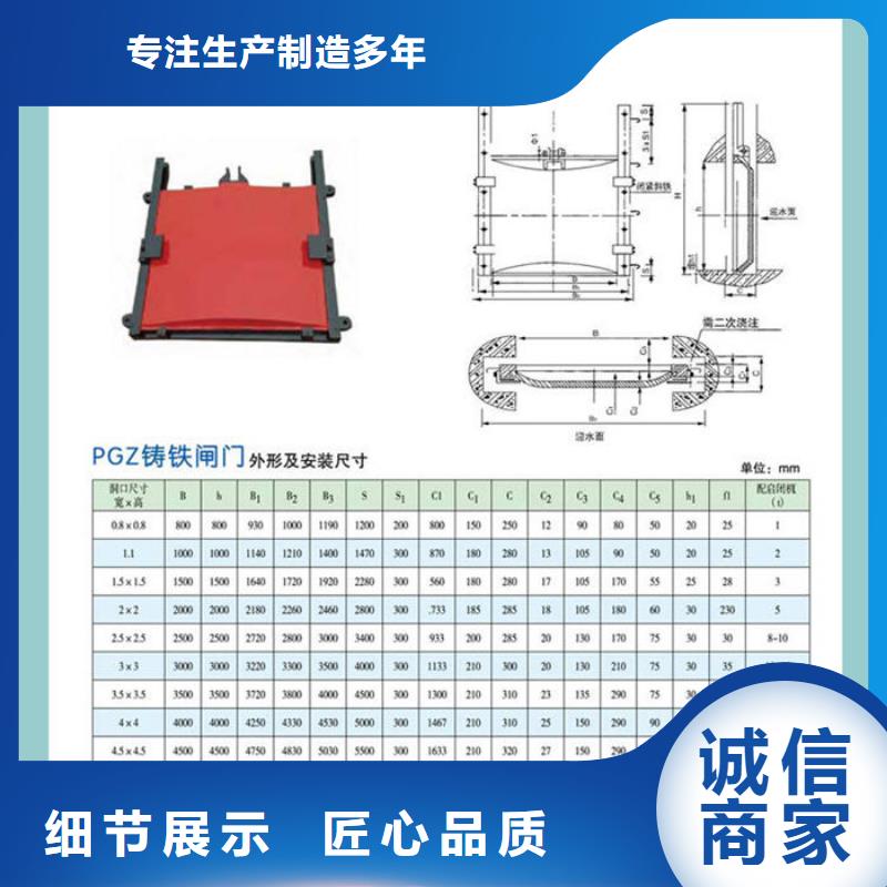 机门一体闸门型号齐全